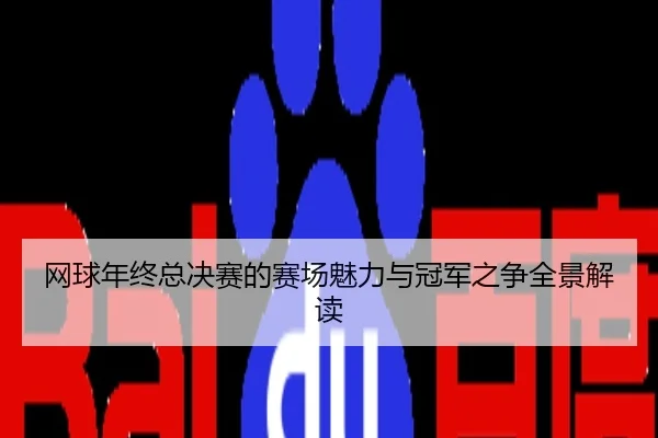 网球年终总决赛的赛场魅力与冠军之争全景解读